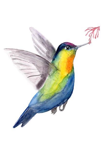 hummingbird in flight painted in watercolour